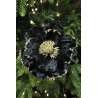 Originálna ozdoba na vianočný stromček. Tento vianočný kvet môžete použiť aj ako dekoráciu do vianočných aranžmánov a adventných vencov. Na zadnej strane sa nachádza štipec pre jednoduché uchopenie.
Rozmer dekorácie:
Priemer kvetu : 140 mm
Výška kvetu : 120 mm
Cena je za 1 kus