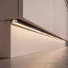 Transparent