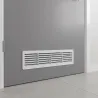 Biela